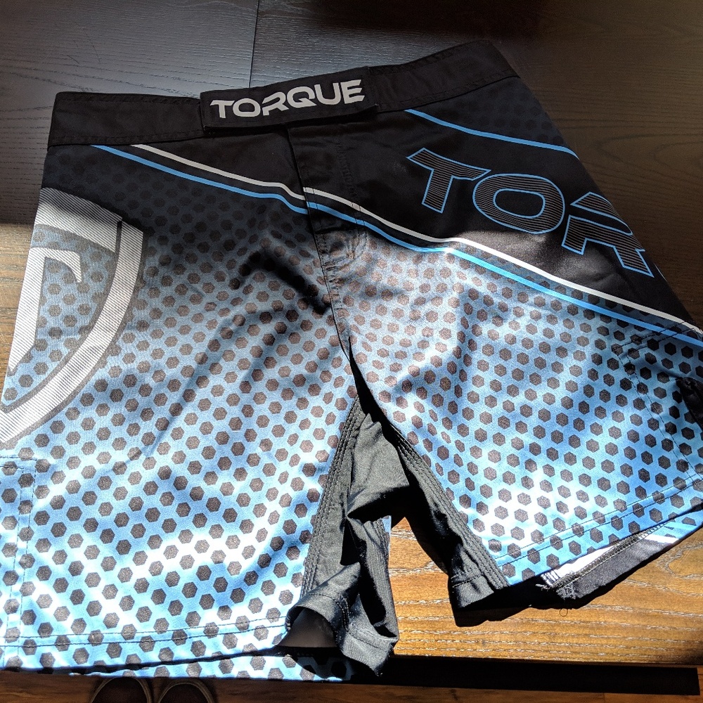 Torque MMA BJJ Muay Thai fight shorts (size 34)